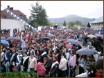 Darmanesti 2006