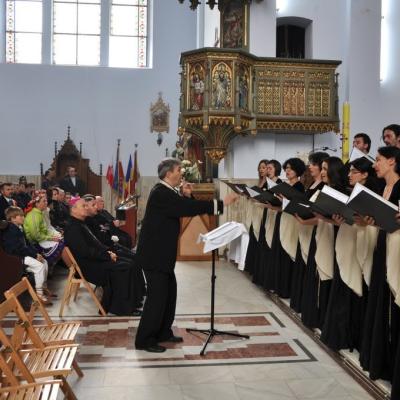 7 mai: Cacica: Liturghie de mulţumire pentru beatificarea Sfântului Părinte papa Ioan Paul al II-lea, la sanctuarul marian - Bazilica Minor
