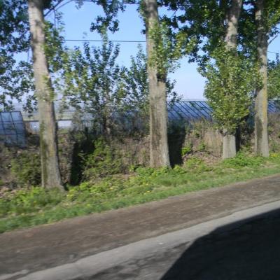 13 mai: Cacica: Pelerinajul de Ziua Bolnavului