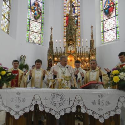 13 mai: Cacica: Pelerinajul de Ziua Bolnavului