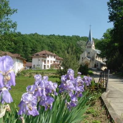 27-29 mai: Luncani: Campus de formare ACA