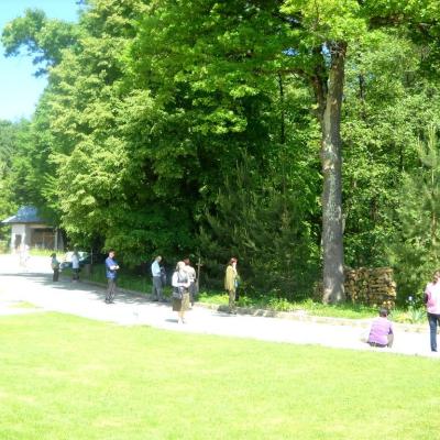 27-29 mai: Luncani: Campus de formare ACA