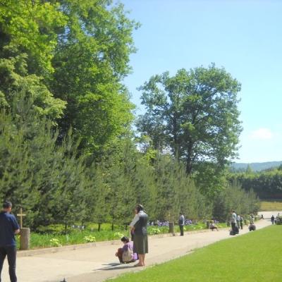 27-29 mai: Luncani: Campus de formare ACA