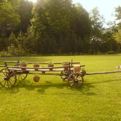 27-29 mai: Luncani: Campus de formare ACA