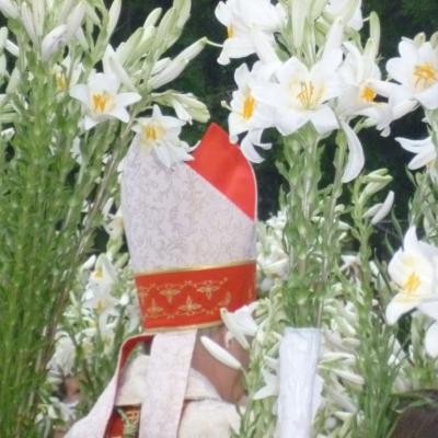11-13 iunie: Huşi "Sfântul Anton": Misiuni populare şi hramul parohiei
