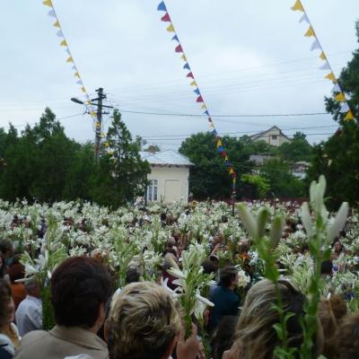 11-13 iunie: Huşi "Sfântul Anton": Misiuni populare şi hramul parohiei