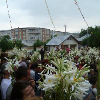 11-13 iunie: Huşi "Sfântul Anton": Misiuni populare şi hramul parohiei