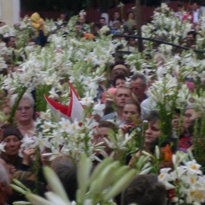 11-13 iunie: Huşi "Sfântul Anton": Misiuni populare şi hramul parohiei