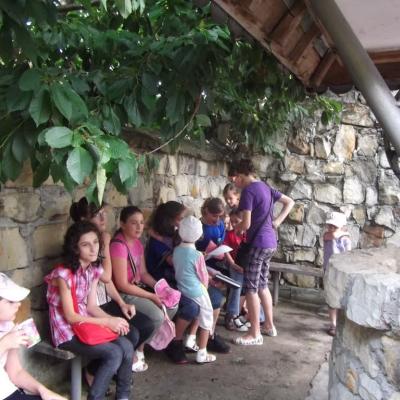 4-17 iulie: La Ploscuţeni GREF-ul e-n toi... Vino şi tu la noi!