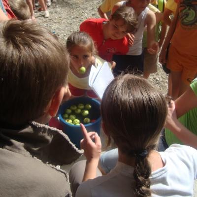 5-9 iulie: Gioseni: "Vara Împreună", ediţia 2011
