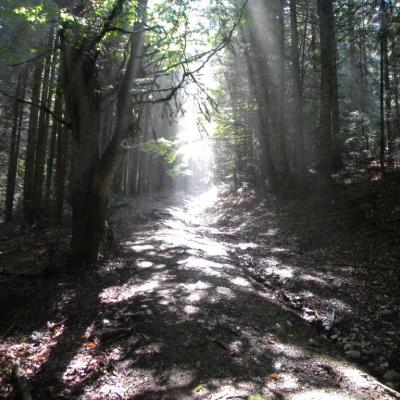 22-27 august: Oţeleni: Bucuria de a fi împreună (II)