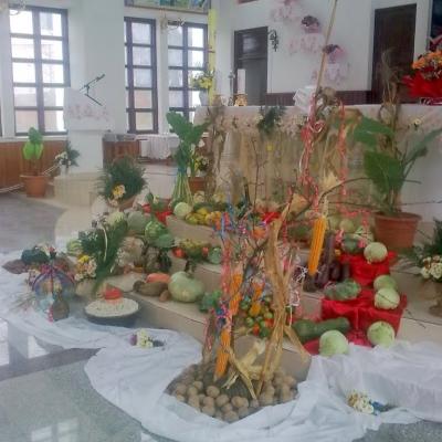 6 noiembrie: Valea Mică: Ziua Recoltei şi a Recunoştinţei