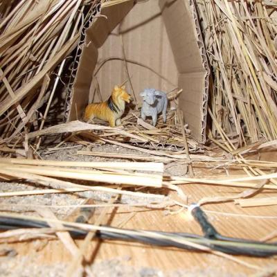 22 decembrie 2011: Oneşti: În aşteptarea Crăciunului, la Liceul Teologic "Fericitul Ieremia"