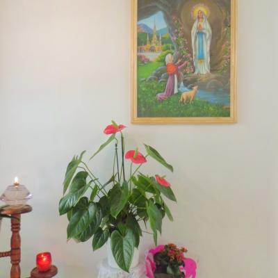 11 februarie: Iaşi (Bucium): Ziua Mondială a Bolnavului la căminul de bătrâni "Sfântul Iosif"