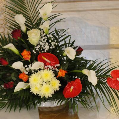 7-8 aprilie: Iaşi: Învierea Domnului sărbătorită în catedrala "Sfânta Fecioară Maria, Regină"