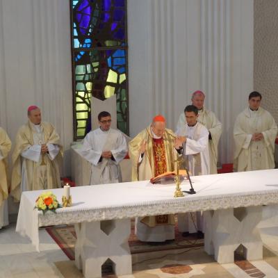 21-22 mai: Iaşi: Vizita cardinalului Christoph Schönborn cu ocazia primirii titlului de Doctor Honoris Causa