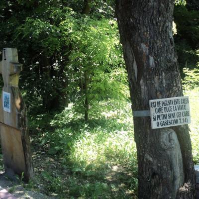 14-17 iunie: Luncani: Curs de formare pentru Acţiunea Catolică, adulţi, din România - ACRO şi AGRU