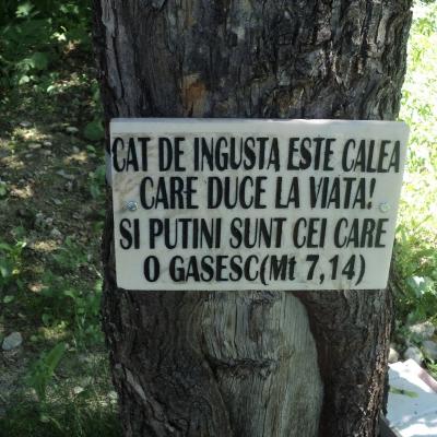 14-17 iunie: Luncani: Curs de formare pentru Acţiunea Catolică, adulţi, din România - ACRO şi AGRU