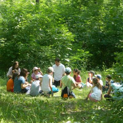 25-29 iunie şi 2-6 iulie: Iaşi ("Sfânta Tereza"): GREF şi campus: "Nemo şi perla albastră"