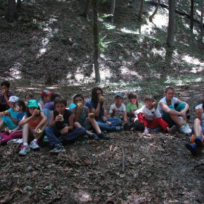 25-29 iunie şi 2-6 iulie: Iaşi ("Sfânta Tereza"): GREF şi campus: "Nemo şi perla albastră"