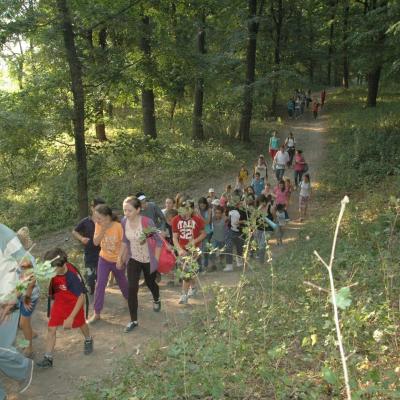 25-29 iunie şi 2-6 iulie: Iaşi ("Sfânta Tereza"): GREF şi campus: "Nemo şi perla albastră"