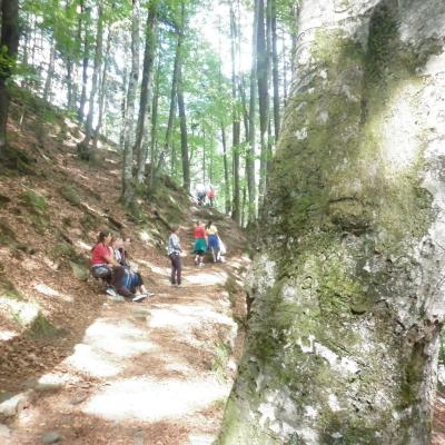 15-18 iulie: Slănic Moldova: Campus vocaţional SCMP