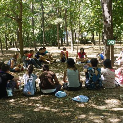 26 iulie: INTC Iaşi: "De ce te trezeşti dimineaţa?" Relatări din discuţiile în grupuri mici