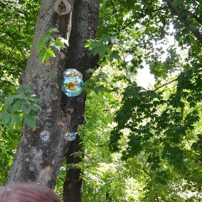 28 iulie: INTC Iaşi: Acţiunea Catolică dăruieşte bucurie!