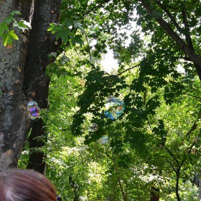 28 iulie: INTC Iaşi: Acţiunea Catolică dăruieşte bucurie!
