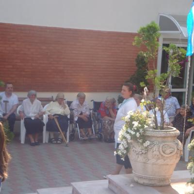6-12 august: Baraţi: Campus despre prietenie şi bucurie