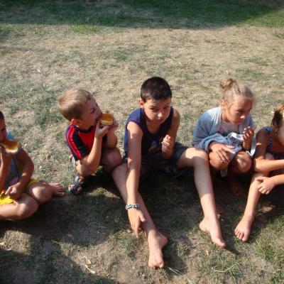 6-12 august: Baraţi: Campus despre prietenie şi bucurie