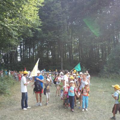 7-11 august: Sarata: Campus "Vara Împreună"