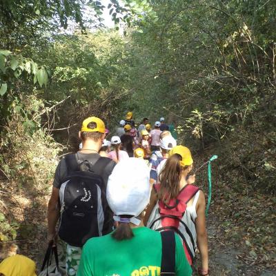 7-11 august: Sarata: Campus "Vara Împreună"